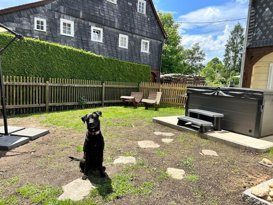 Ferienhaus Hexe Mit Whirlpool, Sauna, Garten Villa Grossschoenau Exterior photo